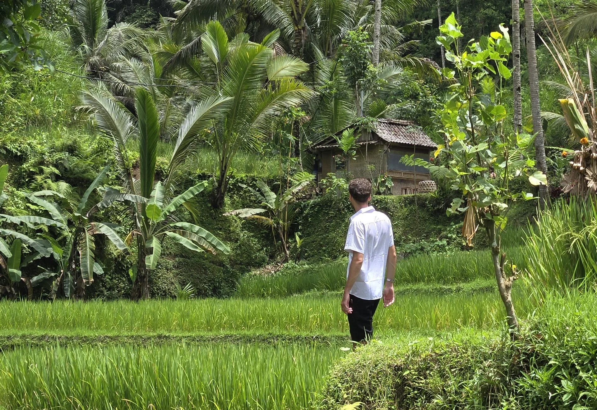 Ubud